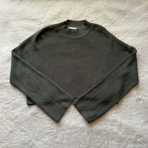 Aritzia sage green wilfred sweater